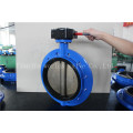 ISO5752 Series16 Monoflange Butterfly Valve with Ce ISO Wras Approved (D41X-10/16)